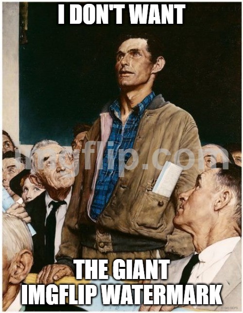 I liked this site because the watermark was small, but still there. This is an atrocity | I DON'T WANT; THE GIANT IMGFLIP WATERMARK | image tagged in freedom of speech,imgflip,bad,update,huge,watermark | made w/ Imgflip meme maker