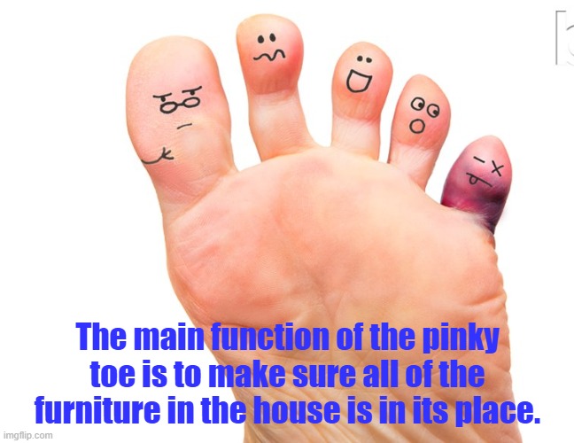 humor | The main function of the pinky toe is to make sure all of the furniture in the house is in its place. | image tagged in toes | made w/ Imgflip meme maker