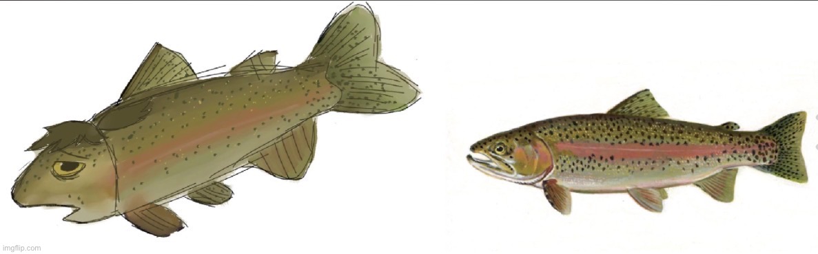 me as a trout | image tagged in drawing,dea | made w/ Imgflip meme maker