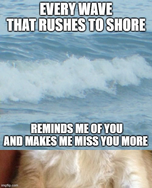 Waves | EVERY WAVE THAT RUSHES TO SHORE; REMINDS ME OF YOU AND MAKES ME MISS YOU MORE | image tagged in memes,grumpy cat | made w/ Imgflip meme maker
