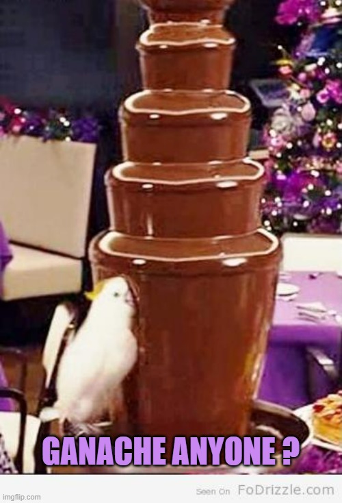 Chocolate Fountain | GANACHE ANYONE ? | image tagged in chocolate fountain | made w/ Imgflip meme maker