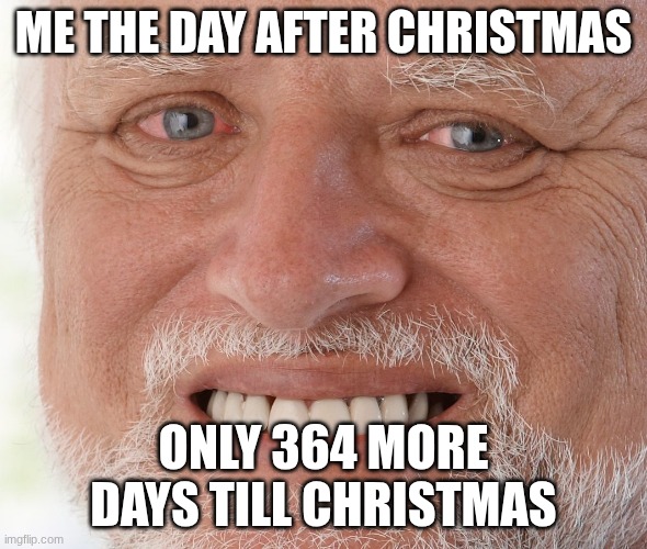 Hide the Pain Harold | ME THE DAY AFTER CHRISTMAS; ONLY 364 MORE DAYS TILL CHRISTMAS | image tagged in hide the pain harold | made w/ Imgflip meme maker
