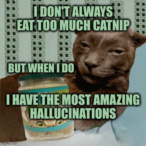 Catnip Boss | I DON'T ALWAYS EAT TOO MUCH CATNIP; BUT WHEN I DO; I HAVE THE MOST AMAZING
HALLUCINATIONS | image tagged in cat,catnip,catnap,psychedelic,hallucinate,sleep | made w/ Imgflip meme maker