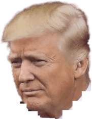 Trump head Meme Template
