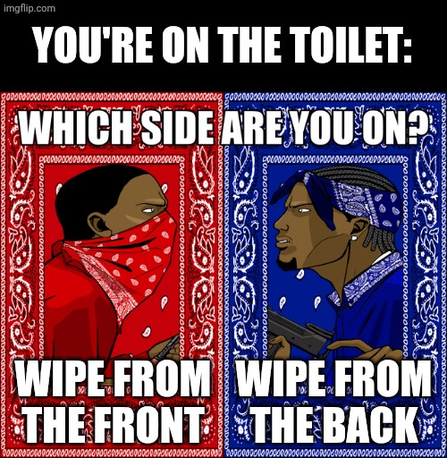 WHICH SIDE ARE YOU ON? | YOU'RE ON THE TOILET:; WIPE FROM THE BACK; WIPE FROM THE FRONT | image tagged in which side are you on,toilet,wipe | made w/ Imgflip meme maker