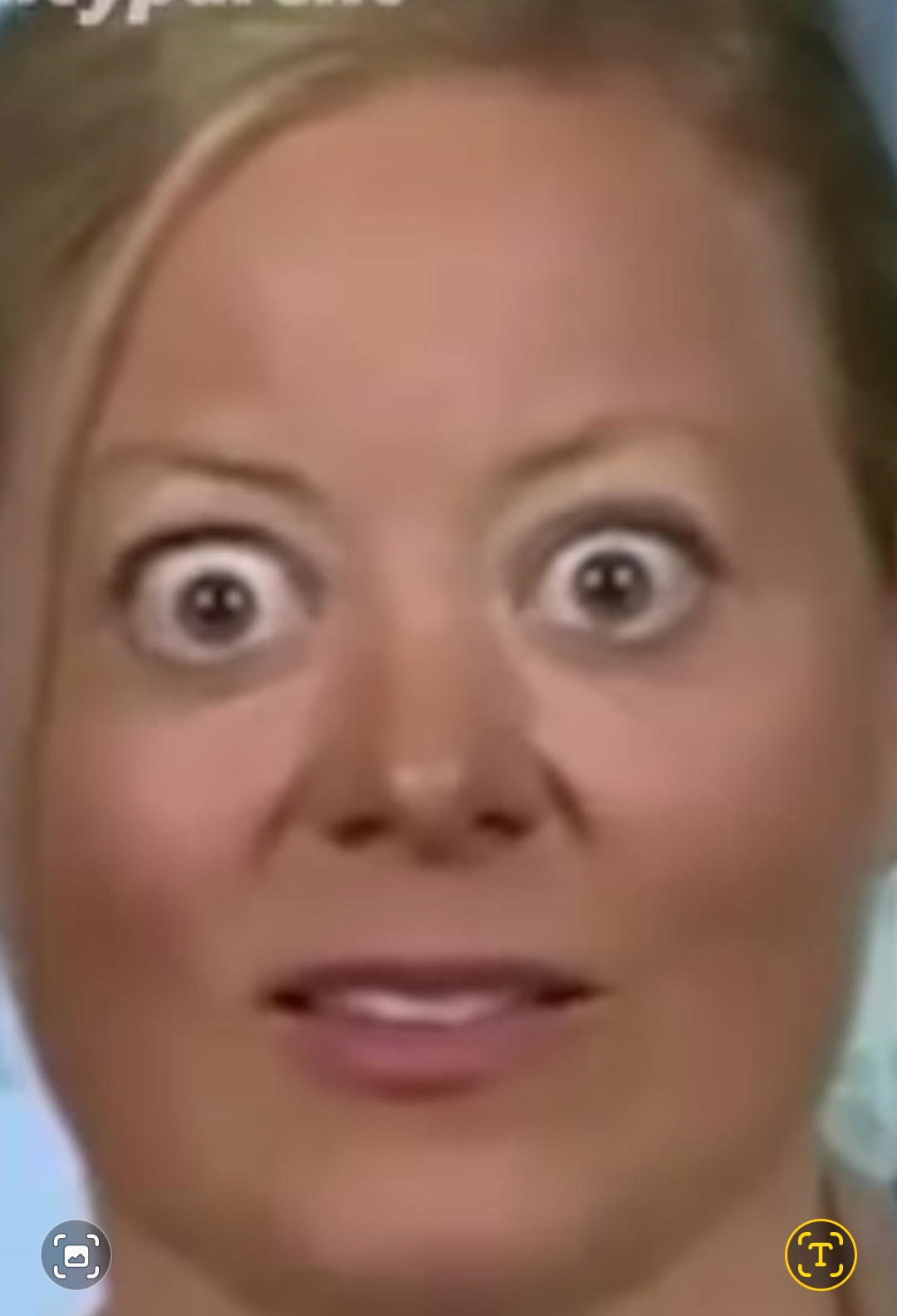 Liberals Blank Meme Template