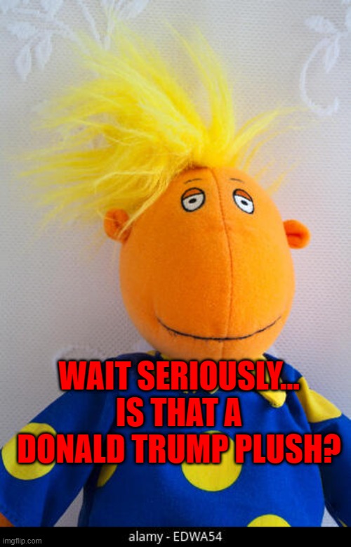 Is That A Donald Trump Plush | WAIT SERIOUSLY... IS THAT A DONALD TRUMP PLUSH? | image tagged in is that a donald trump plush | made w/ Imgflip meme maker