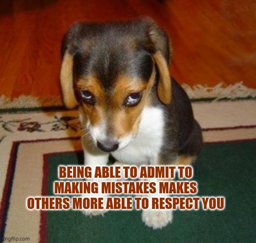 Being able to admit to making mistakes makes others more able to respect you | BEING ABLE TO ADMIT TO MAKING MISTAKES MAKES OTHERS MORE ABLE TO RESPECT YOU | image tagged in so sorry,mistakes make you stronger,respect,autism,communication | made w/ Imgflip meme maker
