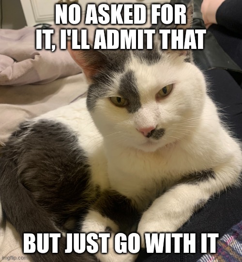 Ziggward of real estate | NO ASKED FOR IT, I'LL ADMIT THAT BUT JUST GO WITH IT | image tagged in ziggward of real estate | made w/ Imgflip meme maker