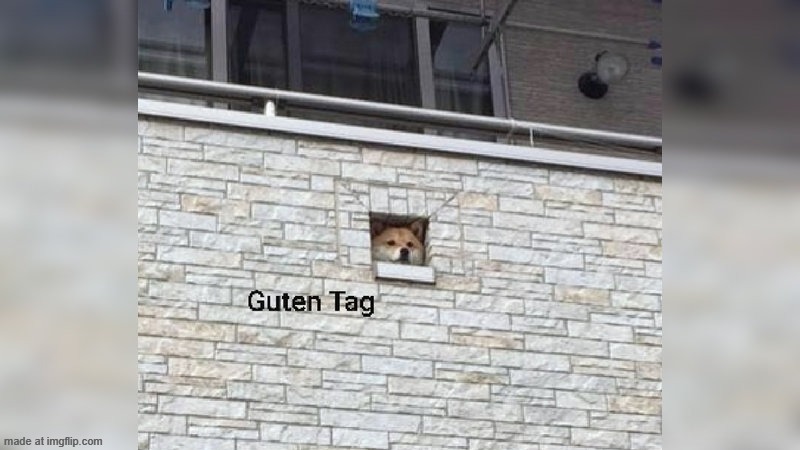 Guten Tag | image tagged in guten tag | made w/ Imgflip meme maker