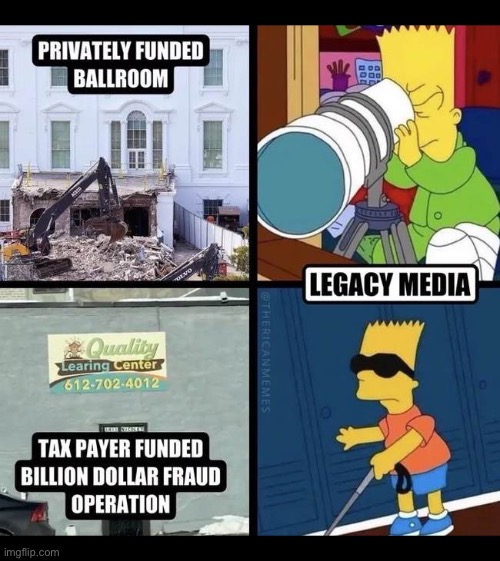 That’s exactly what they’re doing… | image tagged in political meme,bart simpson,democrats,hypocrisy,ballroom,somali fraud | made w/ Imgflip meme maker