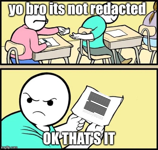 the files | yo bro its not redacted; OK THAT'S IT | image tagged in funny,memes,annoying,epstein | made w/ Imgflip meme maker