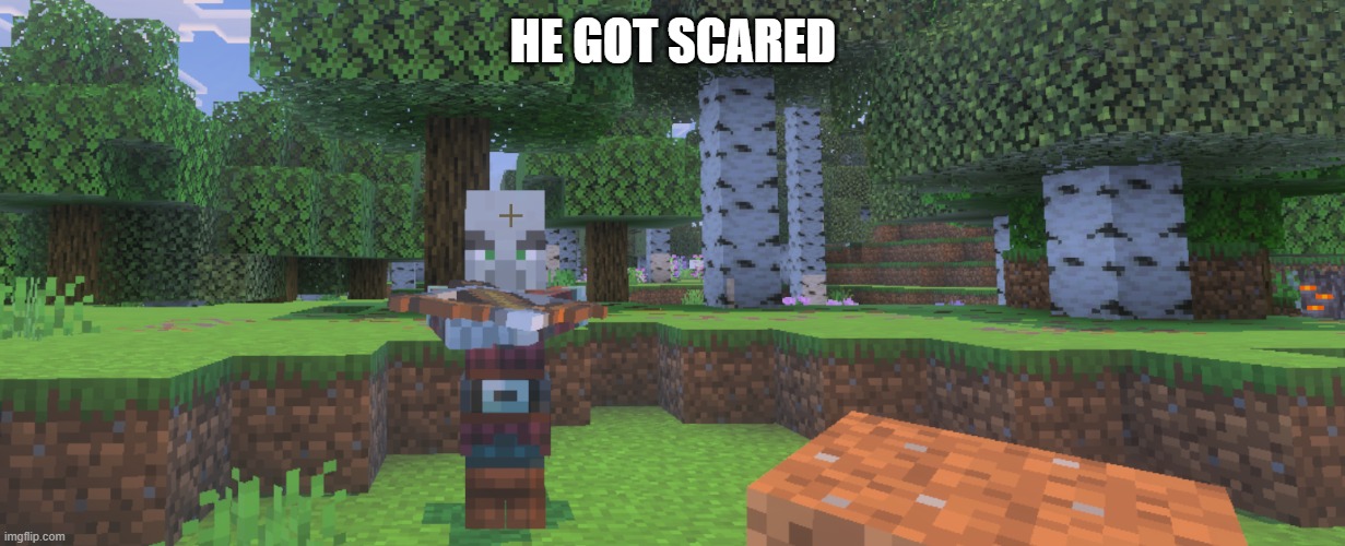 Pillager | HE GOT SCARED | image tagged in pillager | made w/ Imgflip meme maker
