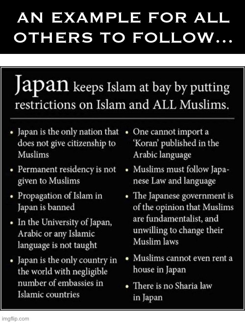 If only our country could be like this… | AN EXAMPLE FOR ALL 
OTHERS TO FOLLOW… | image tagged in political meme,japan,wise decisions,islam,not allowed | made w/ Imgflip meme maker