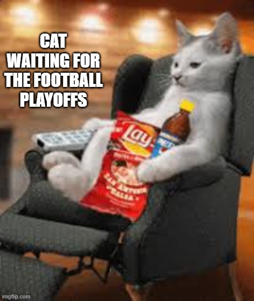 The cat is waiting for the NFL football playoffs. | CAT WAITING FOR THE FOOTBALL PLAYOFFS | image tagged in funny,humor,football,nfl,cat,kitten | made w/ Imgflip meme maker