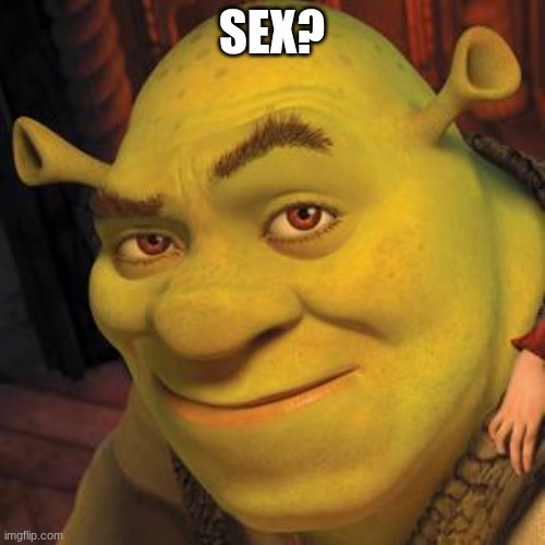 Shrek Sexy Face | SEX? | image tagged in shrek sexy face | made w/ Imgflip meme maker