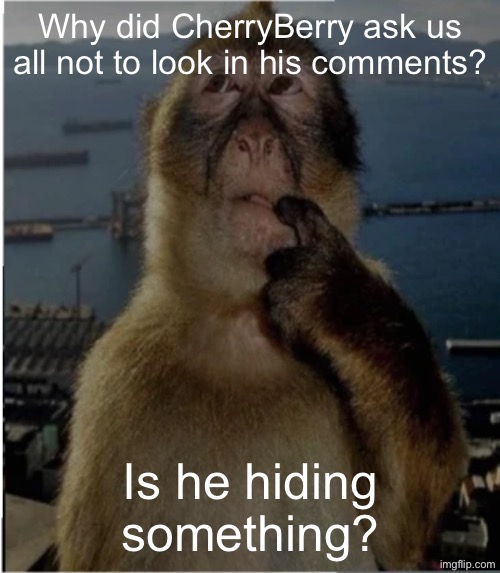 Anyone have a clue? | Why did CherryBerry ask us all not to look in his comments? Is he hiding something? | image tagged in thinking monkey | made w/ Imgflip meme maker