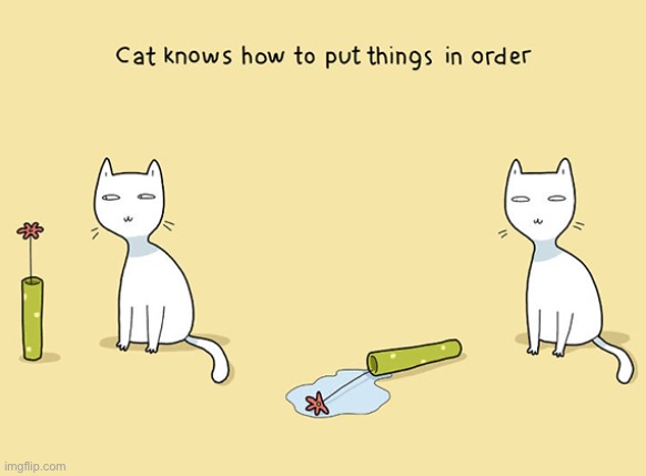 They Always Do | image tagged in cats,funny cats,entitlement,shameless,destruction,jerks | made w/ Imgflip meme maker