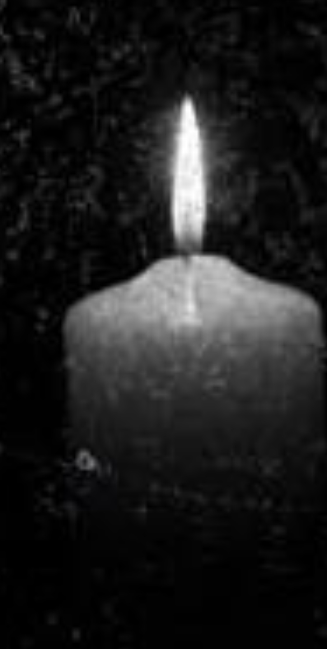 Dogday-310 V2 Blank Meme Template