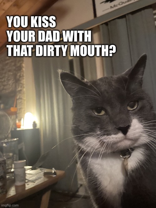 dirty mouth | YOU KISS YOUR DAD WITH THAT DIRTY MOUTH? | image tagged in diapproval cat | made w/ Imgflip meme maker