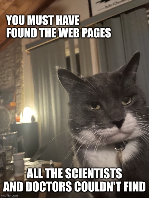 secret internet knowledge | YOU MUST HAVE FOUND THE WEB PAGES; ALL THE SCIENTISTS AND DOCTORS COULDN'T FIND | image tagged in diapproval cat | made w/ Imgflip meme maker