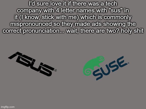 And they also have a vocal on one extreme of their name | I'd sure love it if there was a tech company with 4 letter names with "sus" in it (I know, stick with me) which is commonly mispronounced so they made ads showing the correct pronunciation... wait, there are two? holy shit | made w/ Imgflip meme maker