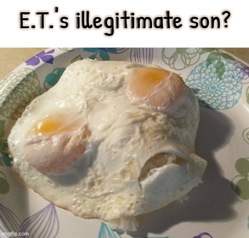 E.T.'s Son? | E.T.'s illegitimate son? | image tagged in cursed images,eggs,extraterrestrial,1980's,what a terrible day to have eyes,classic movies | made w/ Imgflip meme maker