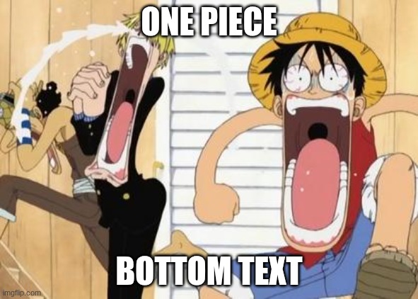 ONE PIECE BOTTOM TEXT | image tagged in one piece | made w/ Imgflip meme maker