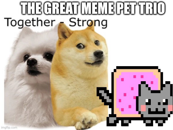 Oh yes the 3 meme pets | THE GREAT MEME PET TRIO | image tagged in doge,gabe the dog,nyan cat | made w/ Imgflip meme maker