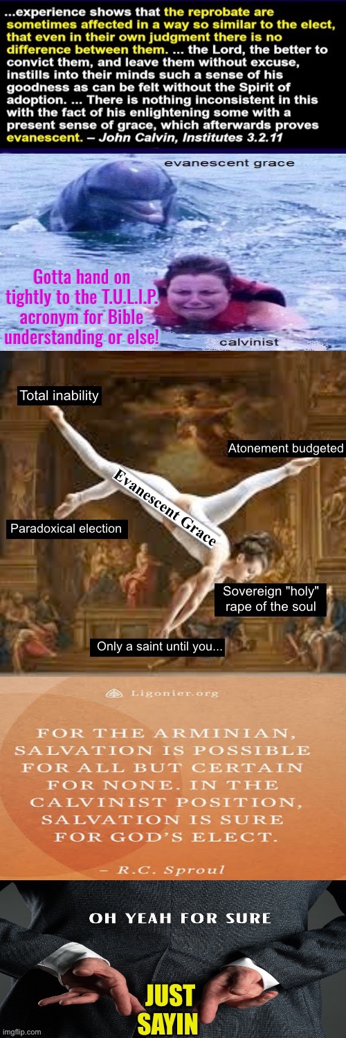 They likely think this grace is only for non-Calvinists & they don't care | Gotta hand on tightly to the T.U.L.I.P. acronym for Bible understanding or else! | image tagged in calvinism,calvinist memes,anti calvinism,reformed theology,selfishness,repent | made w/ Imgflip meme maker