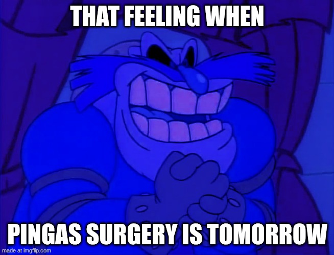 That feeling when Pingas surgery is tomorrow | THAT FEELING WHEN; PINGAS SURGERY IS TOMORROW | image tagged in that feeling when pingas surgery is tomorrow | made w/ Imgflip meme maker