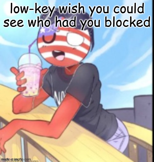 twink 'merica | low-key wish you could see who had you blocked | image tagged in twink 'merica | made w/ Imgflip meme maker