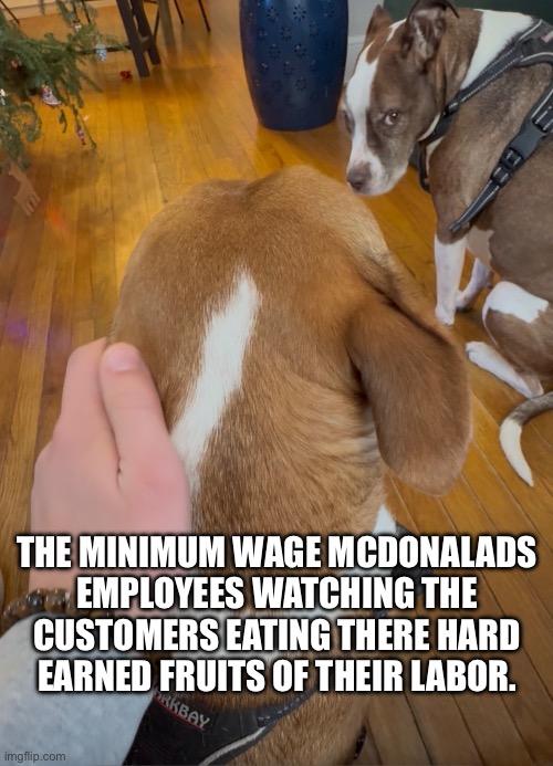 New meme for the great meme reset | THE MINIMUM WAGE MCDONALADS EMPLOYEES WATCHING THE CUSTOMERS EATING THERE HARD EARNED FRUITS OF THEIR LABOR. | image tagged in jealousy | made w/ Imgflip meme maker