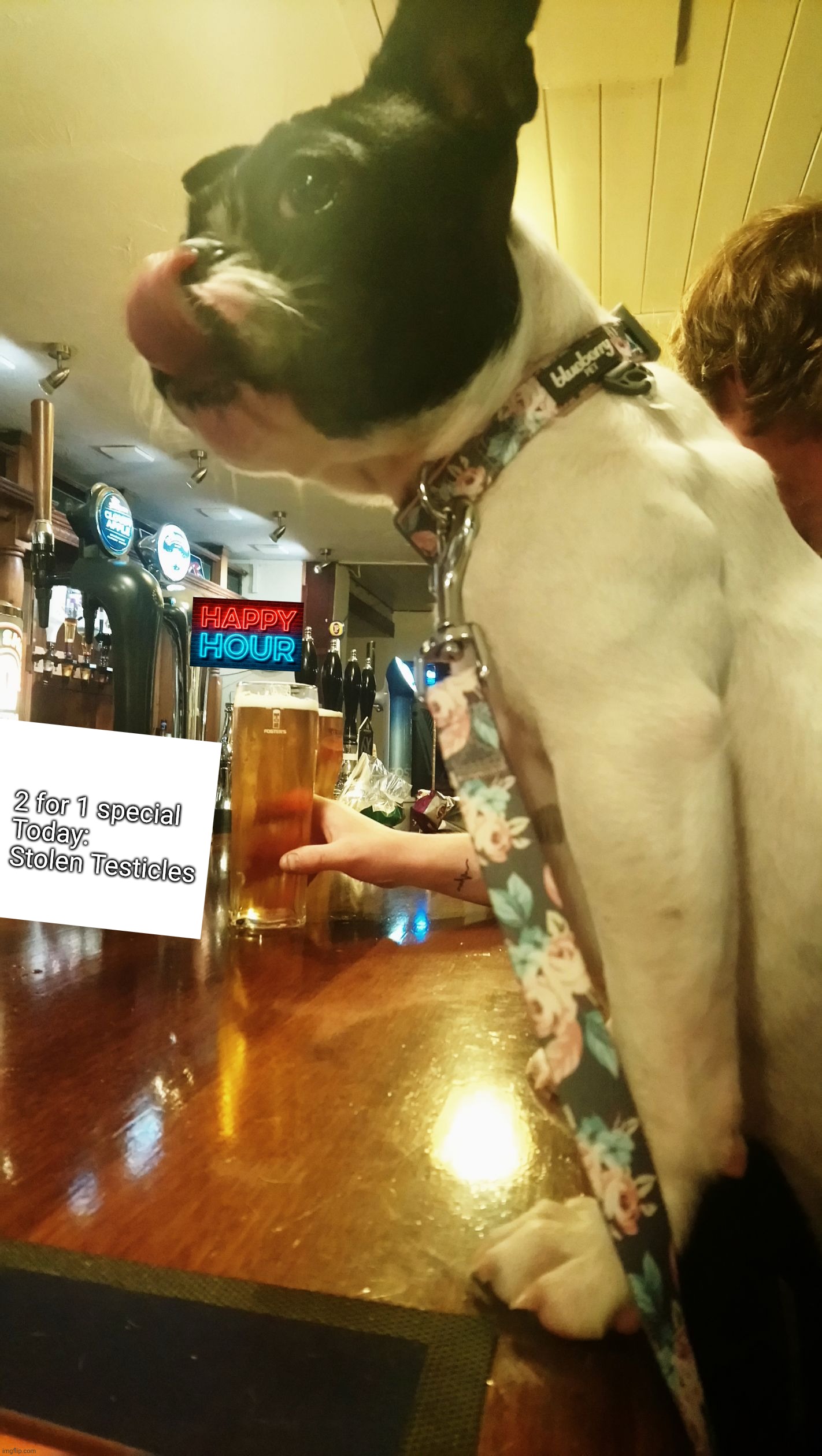 2 for 1 special
Today: 

Stolen Testicles | image tagged in happy hour | made w/ Imgflip meme maker
