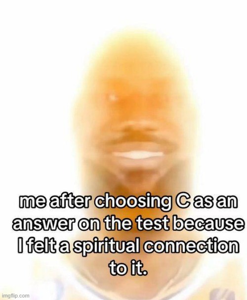 Untitled Image | image tagged in what | made w/ Imgflip meme maker