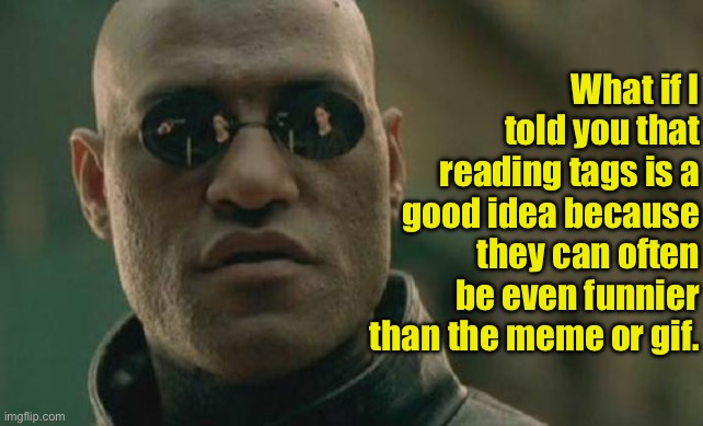 What If I Told You | What if I told you that reading tags is a good idea because they can often be even funnier than the meme or gif. | image tagged in what a terrible day to have eyes,do you are have stupid,duhhh dumbass,ew i stepped in shit,covidiots,anal probes | made w/ Imgflip meme maker