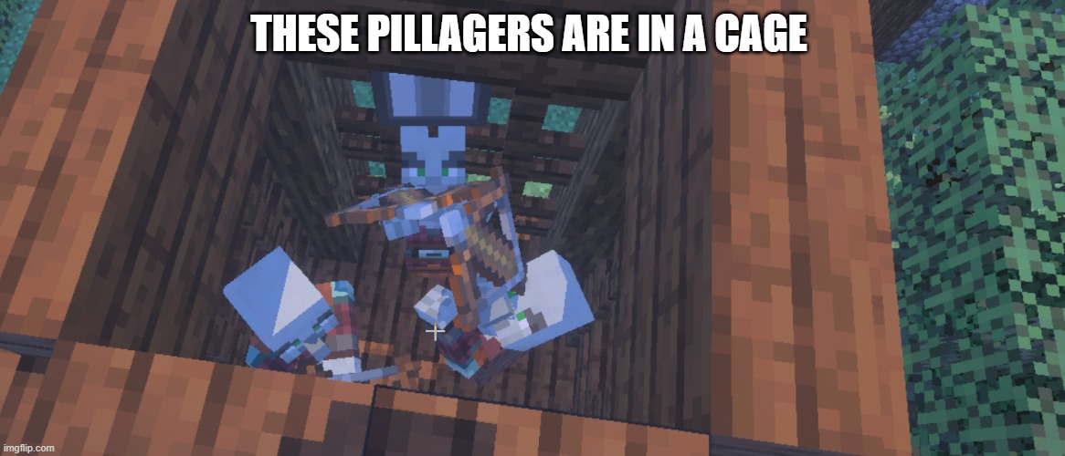 Two Illager Captains At Pillager Outpost | THESE PILLAGERS ARE IN A CAGE | image tagged in two illager captains at pillager outpost | made w/ Imgflip meme maker