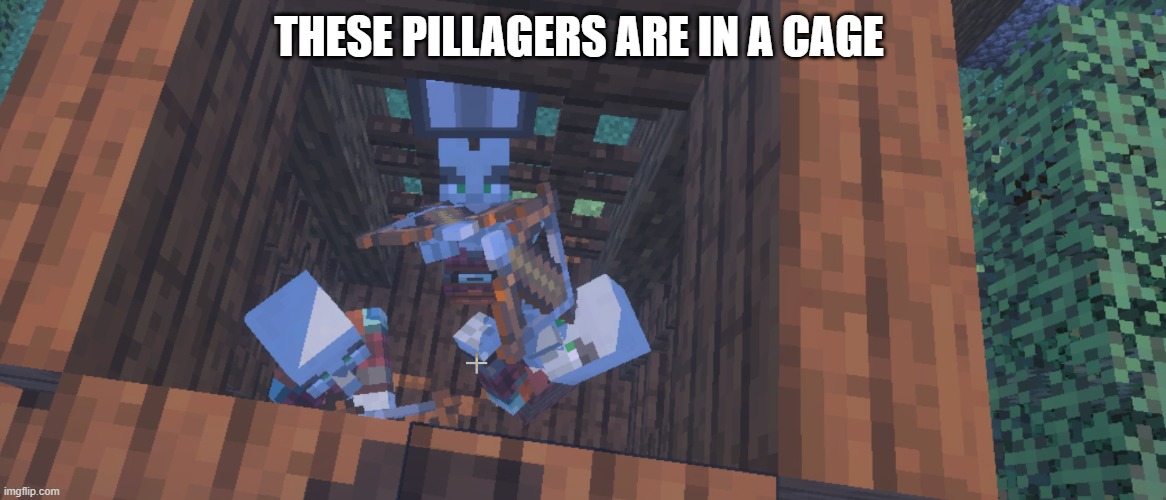 Two Illager Captains At Pillager Outpost | THESE PILLAGERS ARE IN A CAGE | image tagged in two illager captains at pillager outpost | made w/ Imgflip meme maker