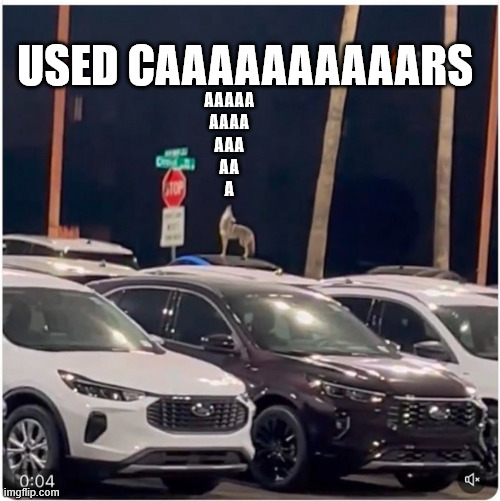 Coyote Financing | USED CAAAAAAAAAARS; AAAAA
AAAA
AAA
AA
A | image tagged in coyote,cars | made w/ Imgflip meme maker