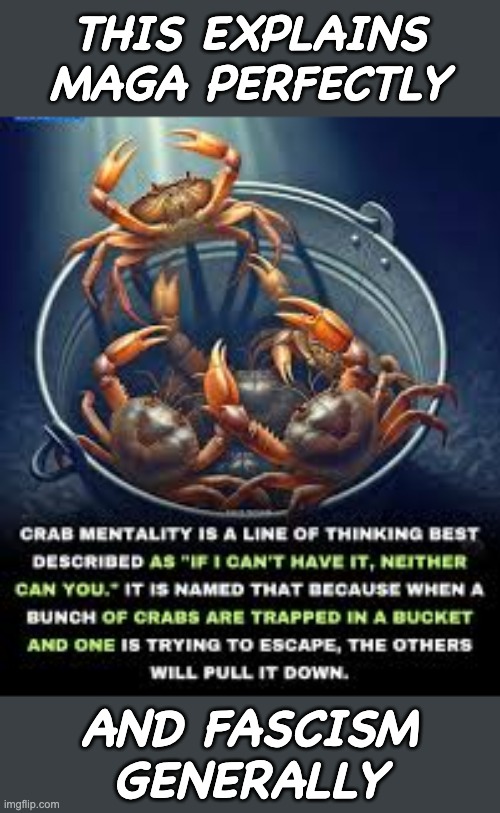 Answering a question posed in the other stream | THIS EXPLAINS
MAGA PERFECTLY; AND FASCISM
GENERALLY | image tagged in maga,fascism,crabs,idiocracy | made w/ Imgflip meme maker