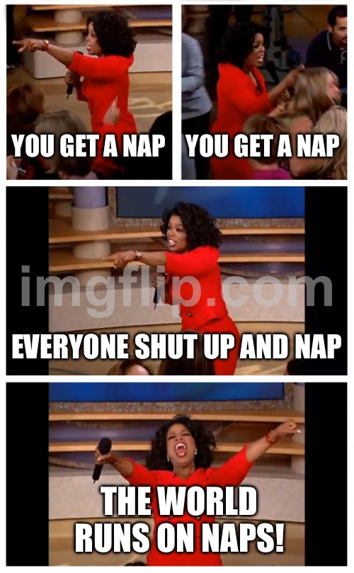 WORLD RUNS ON NAPS! | YOU GET A NAP; YOU GET A NAP; EVERYONE SHUT UP AND NAP; THE WORLD RUNS ON NAPS! | image tagged in memes,oprah you get a car everybody gets a car,nap,world,planet earth,i sleep | made w/ Imgflip meme maker