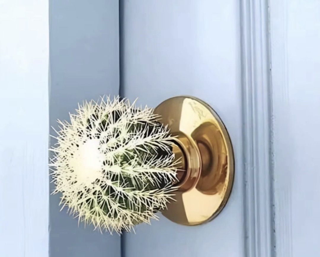 Door knob cactus Blank Meme Template