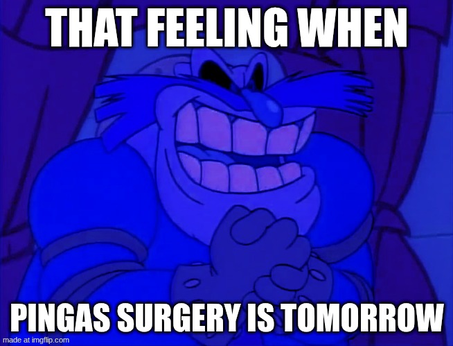 That feeling when Pingas surgery is tomorrow | THAT FEELING WHEN; PINGAS SURGERY IS TOMORROW | image tagged in that feeling when pingas surgery is tomorrow | made w/ Imgflip meme maker