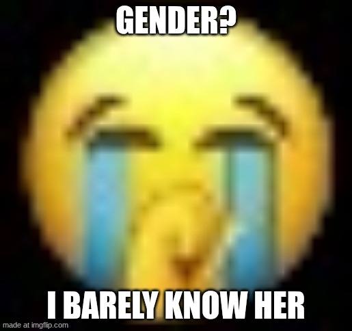 I'll take my comedy award now | GENDER? I BARELY KNOW HER | image tagged in crying emoji holding mouth | made w/ Imgflip meme maker