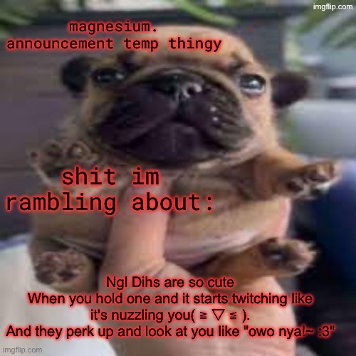 pug temp | Ngl Dihs are so cute
When you hold one and it starts twitching like it's nuzzling you( ≧ ▽ ≦ ).
And they perk up and look at you like "owo nya!~ :3" | image tagged in pug temp | made w/ Imgflip meme maker