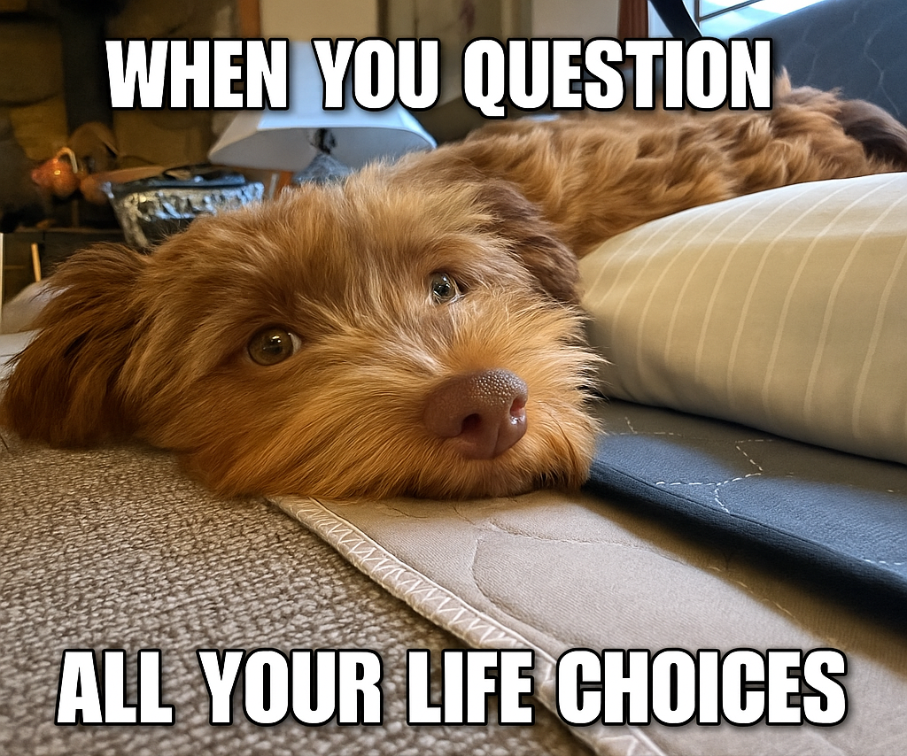 Life Choices Blank Meme Template