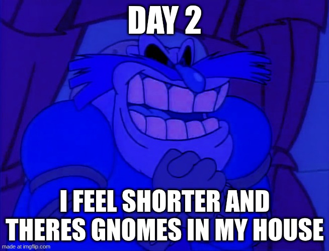 That feeling when Pingas surgery is tomorrow | DAY 2; I FEEL SHORTER AND THERES GNOMES IN MY HOUSE | image tagged in that feeling when pingas surgery is tomorrow | made w/ Imgflip meme maker