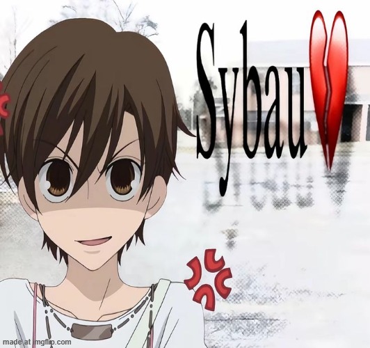 me when a tamaharu shipper (ship aint problematic also) | image tagged in sybau,idk | made w/ Imgflip meme maker