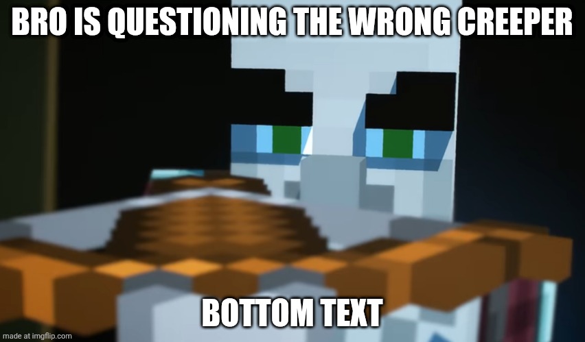 Pillager | BRO IS QUESTIONING THE WRONG CREEPER; BOTTOM TEXT | image tagged in pillager | made w/ Imgflip meme maker