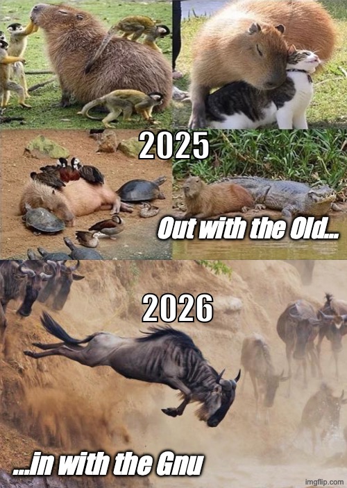 2026: year of the Gnu Meme | 2025; Out with the Old... 2026; ...in with the Gnu | image tagged in gnu,gnus,in with the gnu,gnu year,2026,cabybara | made w/ Imgflip meme maker